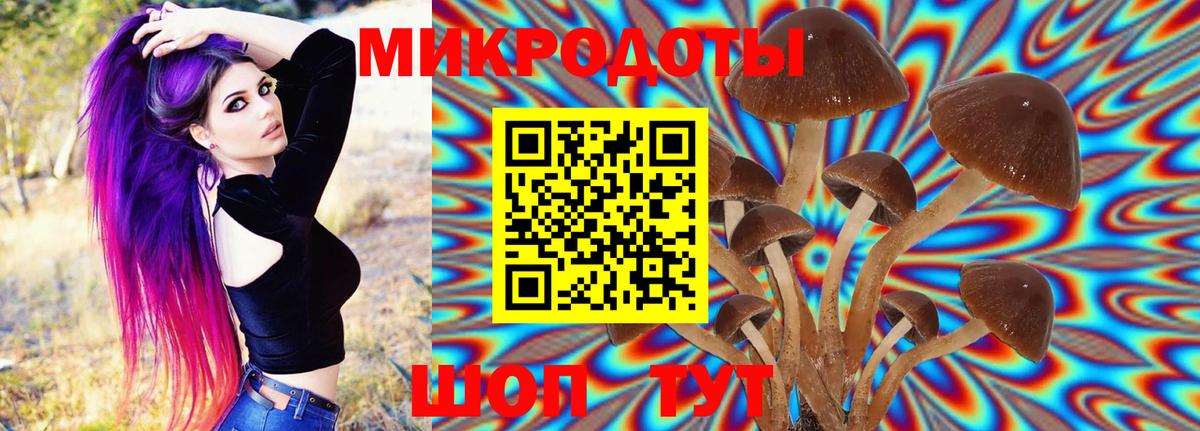 Псилоцибиновые грибы Cubensis  Галлюциногенные грибы MAGIC MUSHROOMS  Киров  Вход с VPN 